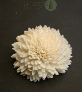 Handmade Shola Decorative Flower | Natural Sola Wood Craft Flower (Set of 10)