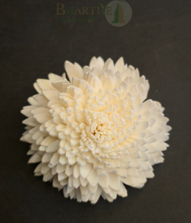 Handcrafted White Shola Flower | Eco-Friendly Natural Decorative Craft (Set of 10)