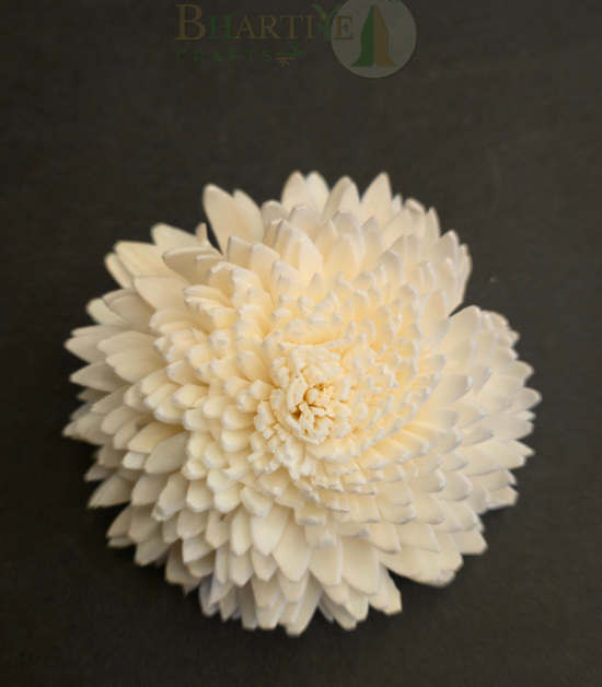 Handcrafted White Shola Flower | Eco-Friendly Natural Decorative Craft (Set of 10)