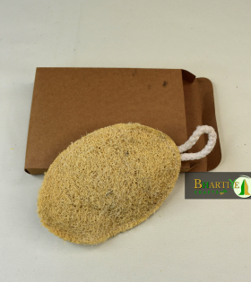 Natural Loofah | Round Eco Friendly Loofah | Bottle Gourd Exfoliating Loofa Sun Dried