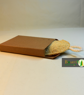 Natural Loofah | Round Eco Friendly Loofah | Bottle Gourd Exfoliating Loofa Sun Dried