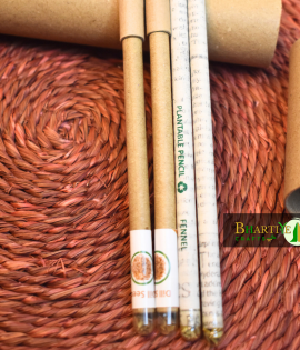 Eco-Smart Pencils: Write, Plant, and Grow