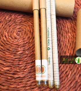 Eco-Smart Pencils: Write, Plant, and Grow
