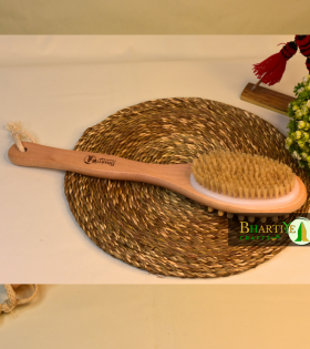 Body Bath Brush | 2-in-1 Exfoliating Brush with Handle &amp; Free Loofah | Wet &amp; Dry Scrub