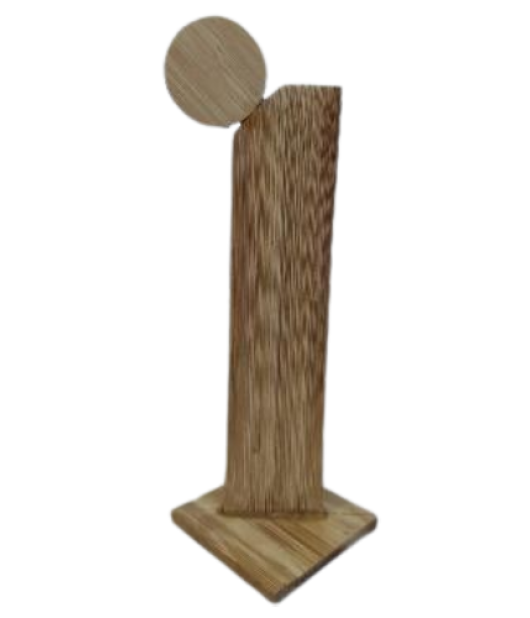 Round Design Trophy