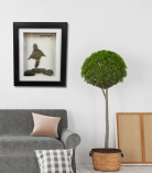 Standing Strong – Sovereignty Pebble Frame (#PB0026)