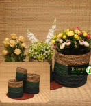 Handcrafted Sabai Grass Binding Planter Holder Set Of 3