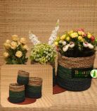 Handcrafted Sabai Grass Binding Planter Holder Set Of 3