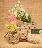 Handcrafted Sabai Grass Binding Planter Holder | Storage Pot Perfect for Indoor, Home Decor, Garden, Bedroom, Living Room