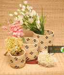 Handcrafted Sabai Grass Binding Planter Holder | Storage Pot Perfect for Indoor, Home Decor, Garden, Bedroom, Living Room