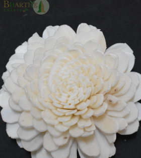 Bhartiye Crafts Premium Handcrafted Shola Flower | Round Layered Sola Wood Flower (Set of 10)