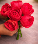 Sola Wood Paper Decorative Red Rose Flowers for DIY Crafts, Garland Making, Pooja, Wedding & Festive Decor (Diameter Approx 8cms - 10 Pieces, Red)