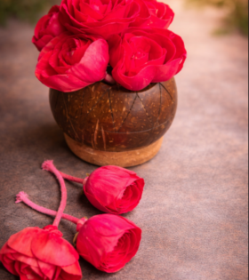 Sola Wood Paper Decorative Red Rose Flowers for DIY Crafts, Garland Making, Pooja, Wedding &amp; Festive Decor (Diameter Approx 8cms - 10 Pieces, Red)