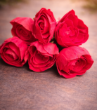 Sola Wood Paper Decorative Red Rose Flowers for DIY Crafts, Garland Making, Pooja, Wedding & Festive Decor (Diameter Approx 8cms - 10 Pieces, Red)