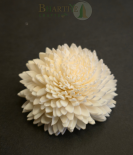 Handcrafted White Shola Flower | Eco-Friendly Natural Decorative Craft (Set of 10)