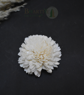 Handcrafted White Shola Flower | Eco-Friendly Natural Decorative Craft (Set of 10)