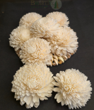 Handcrafted White Shola Flower | Eco-Friendly Natural Decorative Craft (Set of 10)
