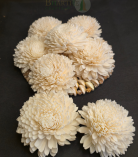 Handmade Shola Decorative Flower | Natural Sola Wood Craft Flower (Set of 10)